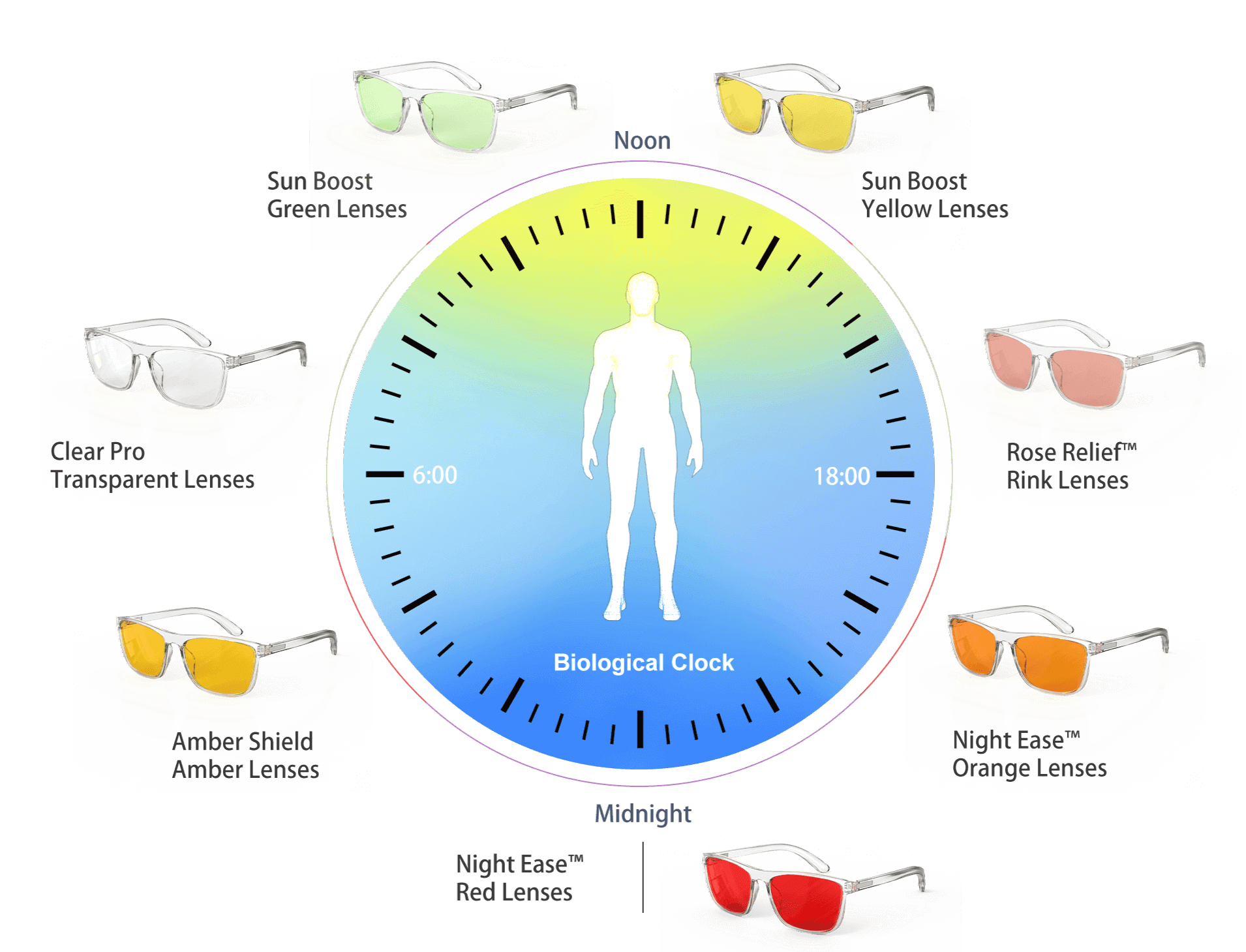 Biological Clock with different tinted lenses, including Transparent Lenses, Yellow Lenses, Green Lenses, Amber Lenses, Pink Lenses, Orange and red lenses for blocking blue light and comfort all day long