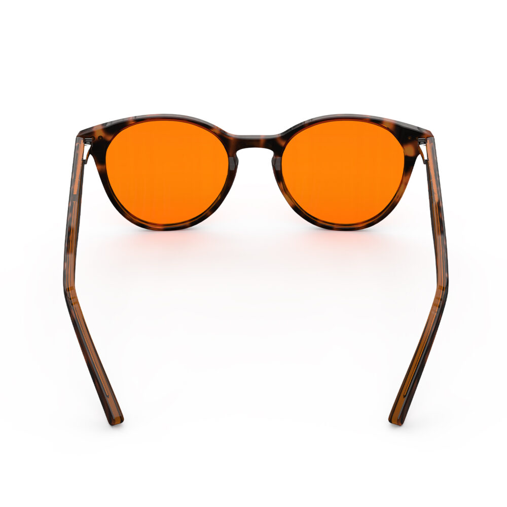 A Back view of Gloojo Night Ease Orange Lens Round Sleep Glasses – Tortoiseshell