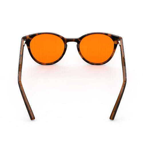 A Back view of Gloojo Night Ease Orange Lens Round Sleep Glasses – Tortoiseshell